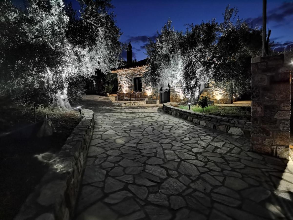 Elaion Thea2-Nies Villa Sourpi Exterior photo